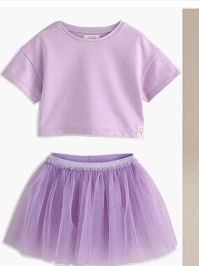next Lavender Crop Tee and Lilac Tulle Skirt Set